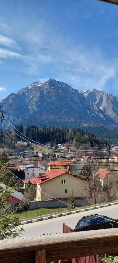 Апартаменты Mountain View Буштени Экстерьер фото