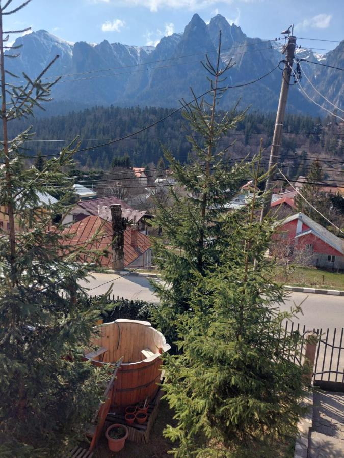 Апартаменты Mountain View Буштени Экстерьер фото